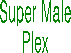 Super Male
Plex