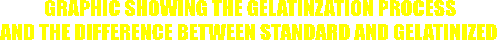 GRAPHIC SHOWING THE GELATINZATION PROCESS 
AND THE DIFFERENCE BETWEEN STANDARD AND GELATINIZED  