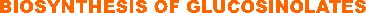 BIOSYNTHESIS OF GLUCOSINOLATES